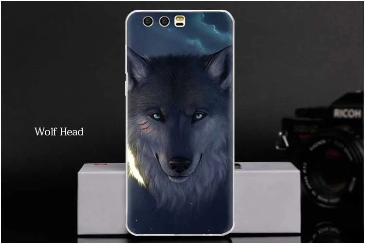 4358809102_2032621672