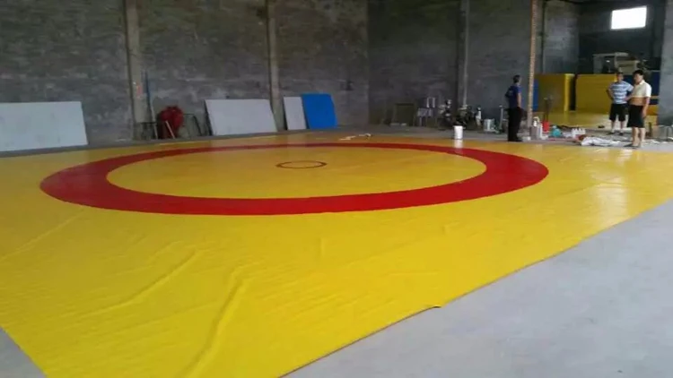 4m 4m Professional Pvc Wrestling Mat Cover Sanda Floor Mat