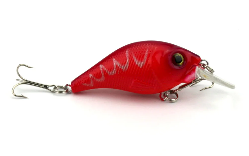 CB007 BAIT (5)