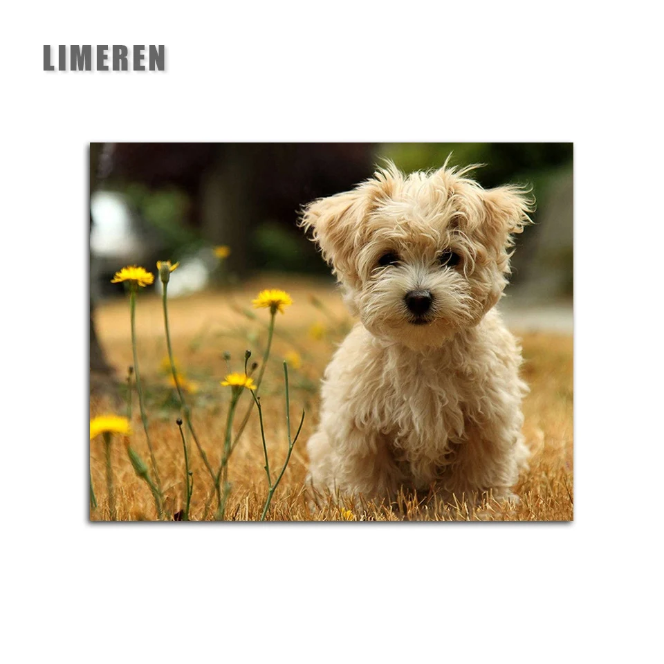 

Frameless Curl Dog Lawn Animal Modern Realistic Painting By Numbers Flowers Coloring By Numbers