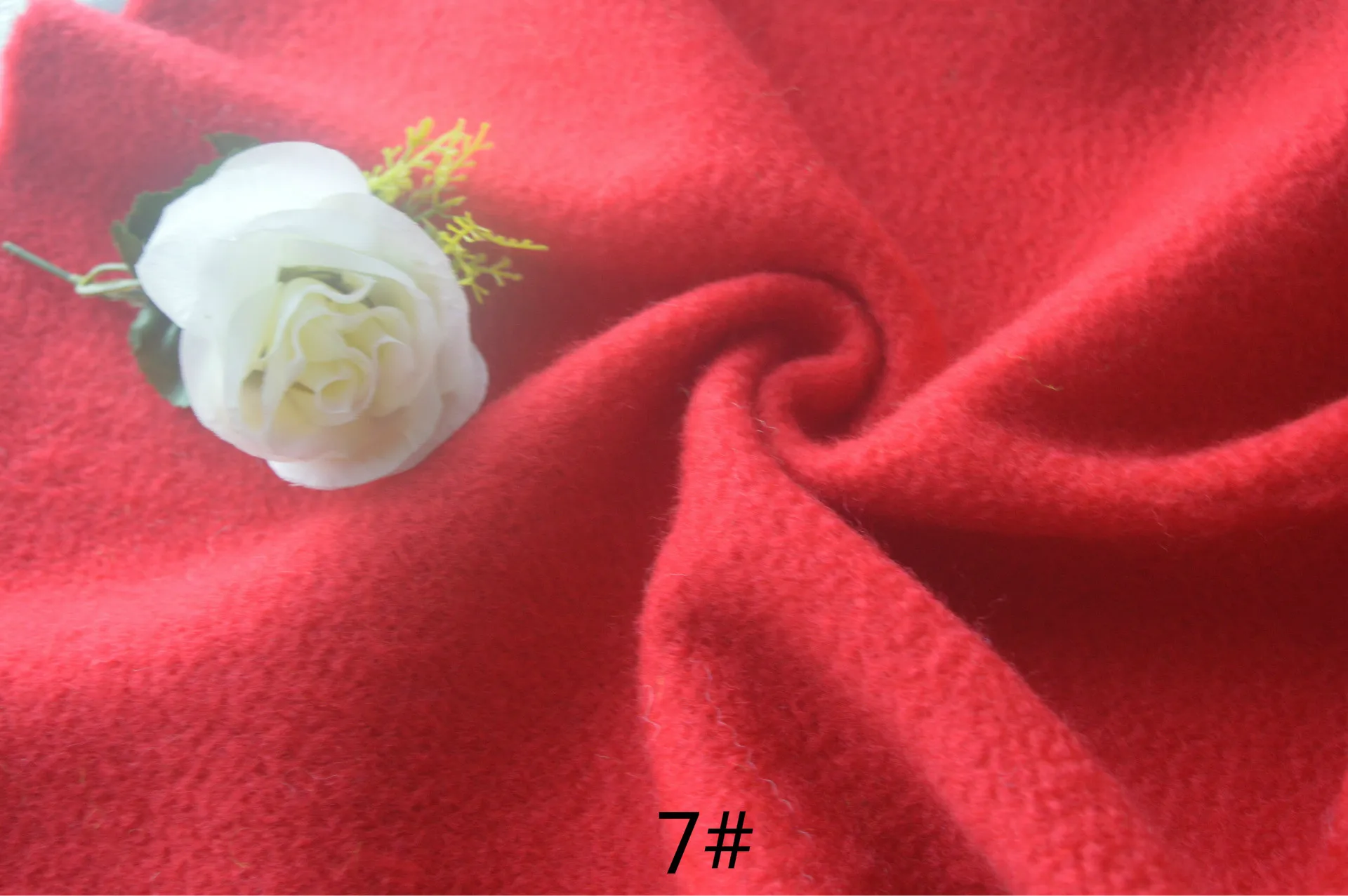 Photo 026