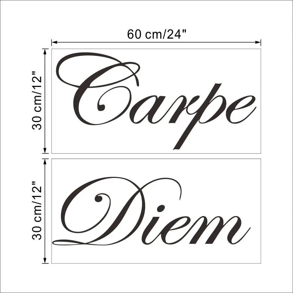 Образовательная Настенная ПВХ наклейка Carpe Diem латинские цитаты художественная
