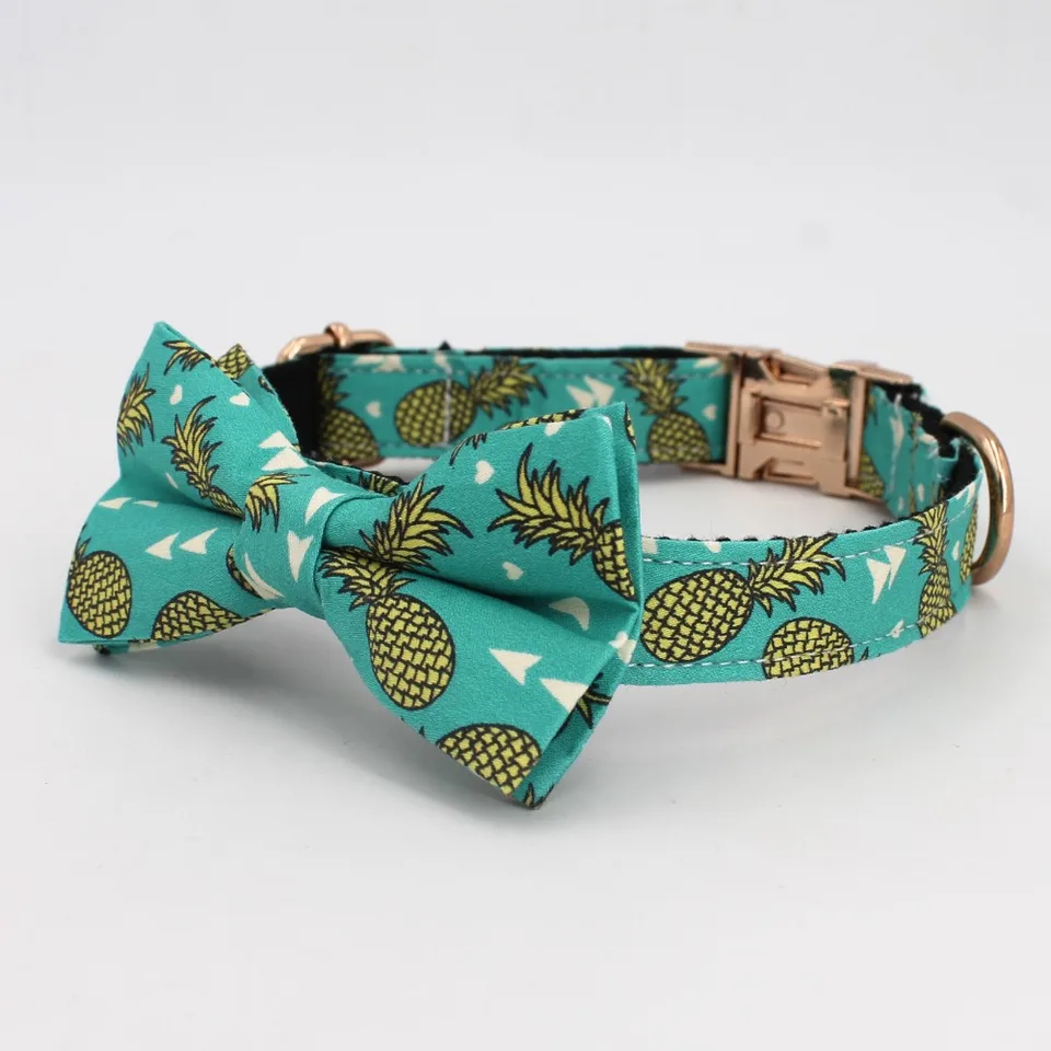 pineapple dog collar