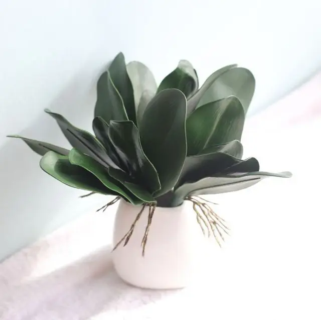 81+ Gambar Kolase Kupu Kupu Dari Daun Gratis Terbaik