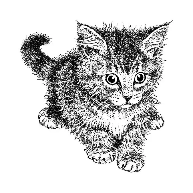 tampon-bois-chaton-crepu-5-x-5-cm-R2-248351-1