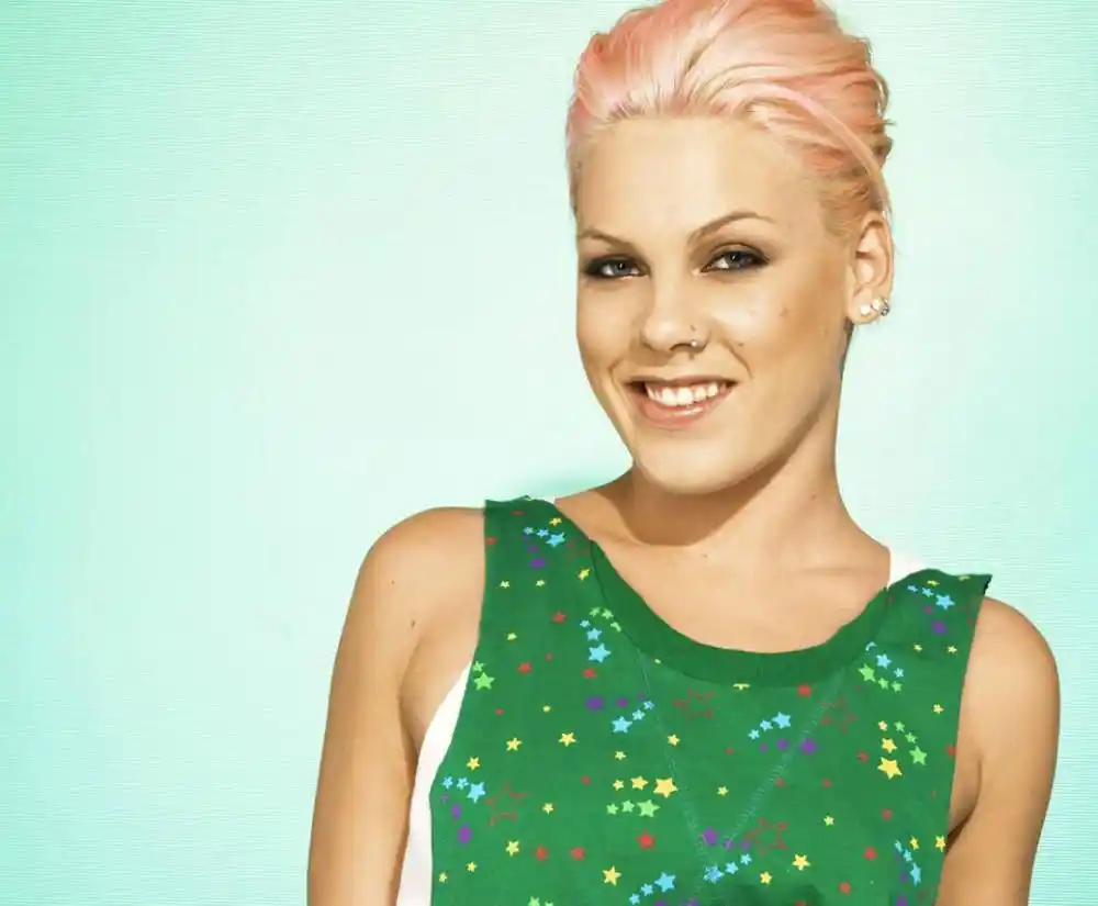 Alecia Beth Moore P Nk Pink Music Star Fabric Poster 28 X 24