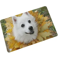 Собачки Животные Печатные входные двери Коврики для кухни коврики для двери приветственные напольные коврики Karpet Передняя половик коврик для ног Tapete LZR55