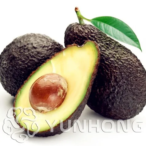 Sale Promotions 10pcs Rare Mini Avocado plant Delicious Pear Fruit plant Easy Grow For Home Garden Germ Bonsai Free Shipping