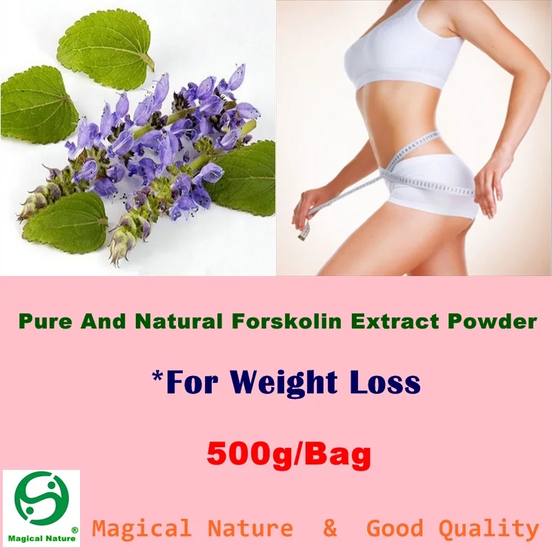 Weight loss diet plan bodybuilding.com image 3