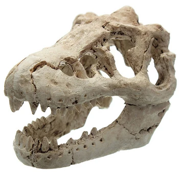 

1 Pcs Dragon Resin Aquarium/Terrarium Decoration Crocodile Skull For Fish Tank Resin Ornament Decorate Your Aquarium