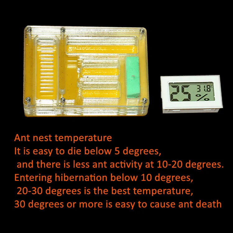 Ant feeding box acrylic ant nest ant ornamental box pet ant nest ant home transparent ant nest (3)