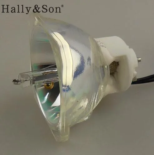 

TLPLS9 bare projector lamp for TDP-S9