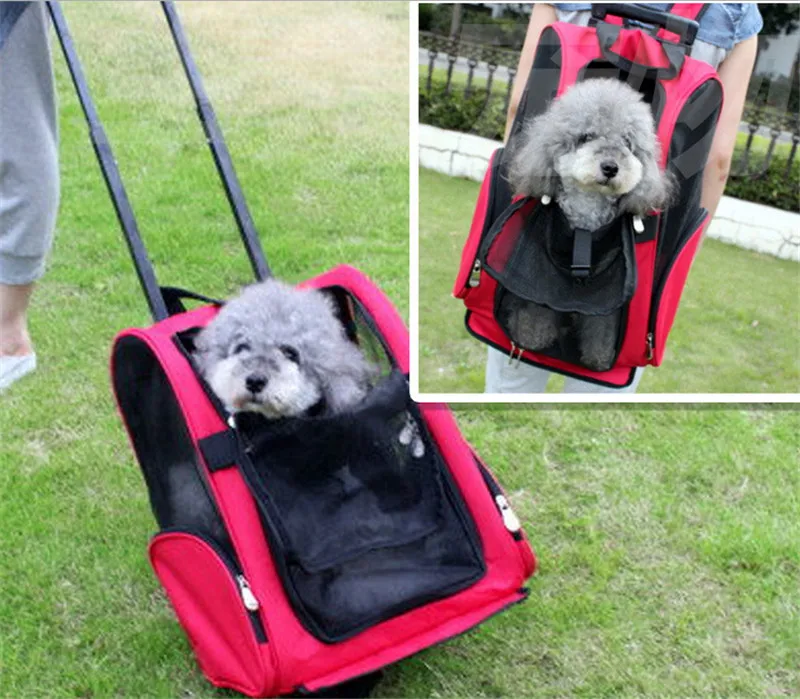 PET BAGS01
