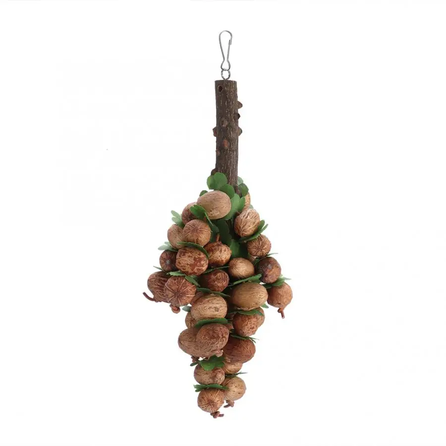 

Bird Accessories Hanging Natural Fruit Core Chew Bite Grinding Beak Care Bird Toy Cages Decorative for Parrot bird toy
