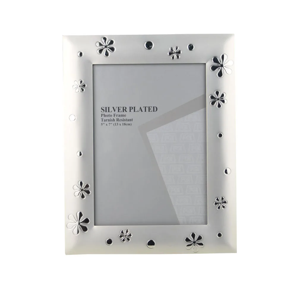 

Fashional Europe Style Metal Photo Frame Picture Frames Picture Display MPF017
