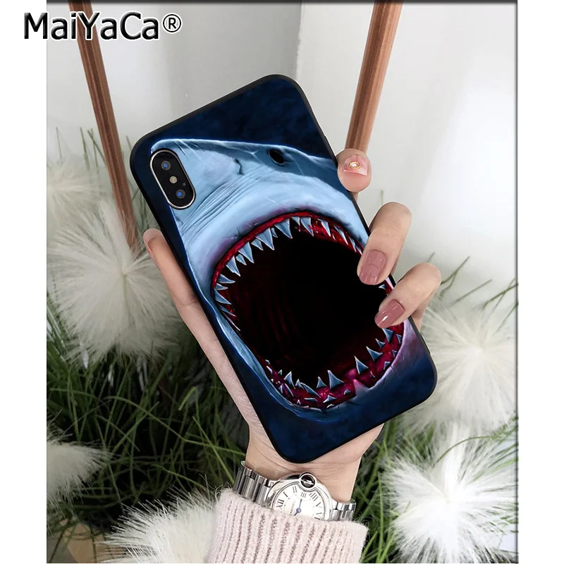 Ocean Sharks