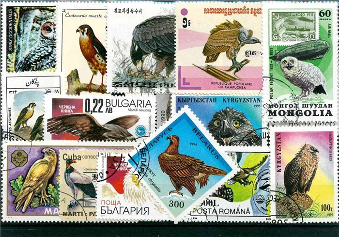 

New 50Pcs/Lot Bird Collection 2 All Different From Many Countries NO Repeat Unused Postage Stamps for Collecting