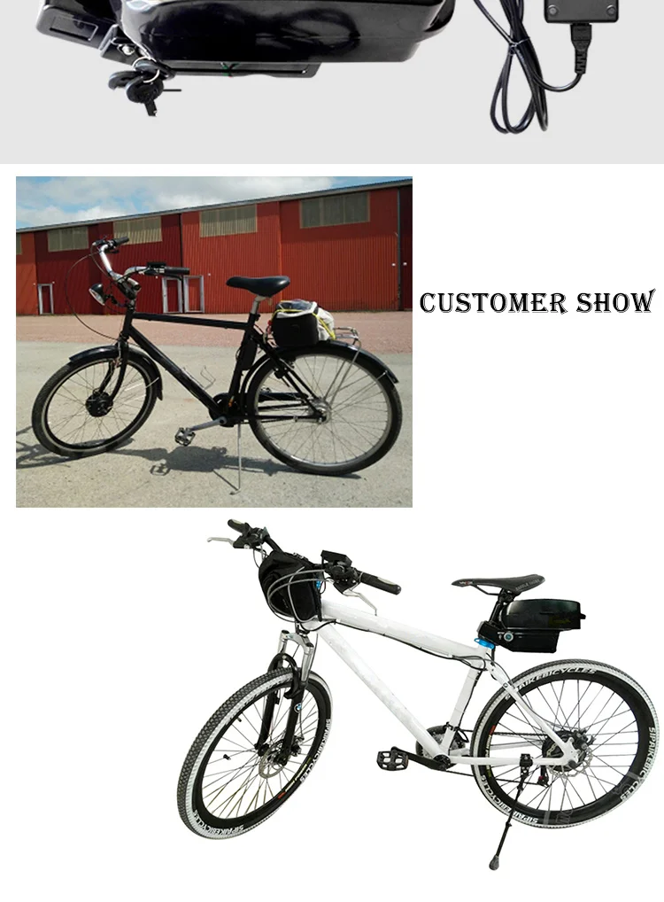 electric bike kit  (4)