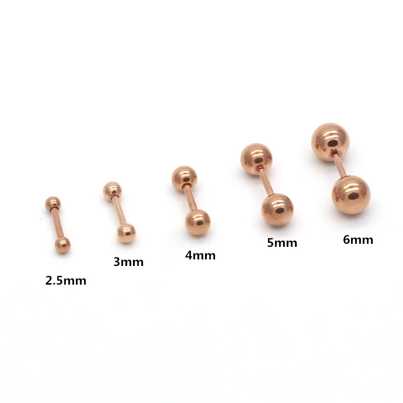 

SE02 Rose Gold-Color Plated Titanium Screw-back Balls Stud Earrings Stainless Steel Jewelry 2.5mm to 6mm