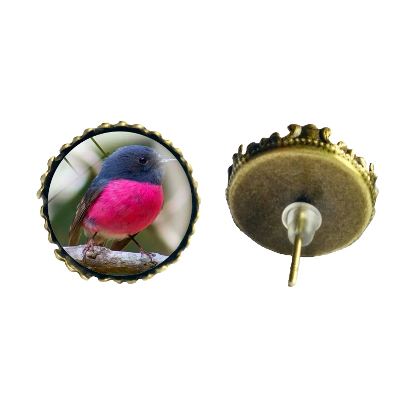 

Fashion Bird Pink Breasted Robin Earrings For Women Vintage Bronze Animal Charm Crown Stud Earrings aretes pendientes mujer