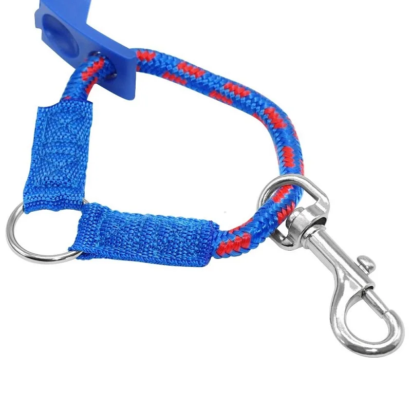 pet command collar4