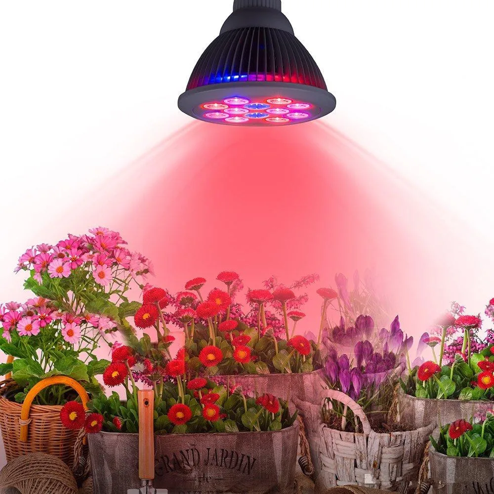 LED Grow light Bulb E27 12W 85 265V Miracle Grow Plant Light 110V 220V for Greenhouse Organic