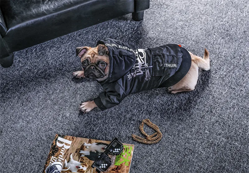 Labrador large dog clothes winter (1)