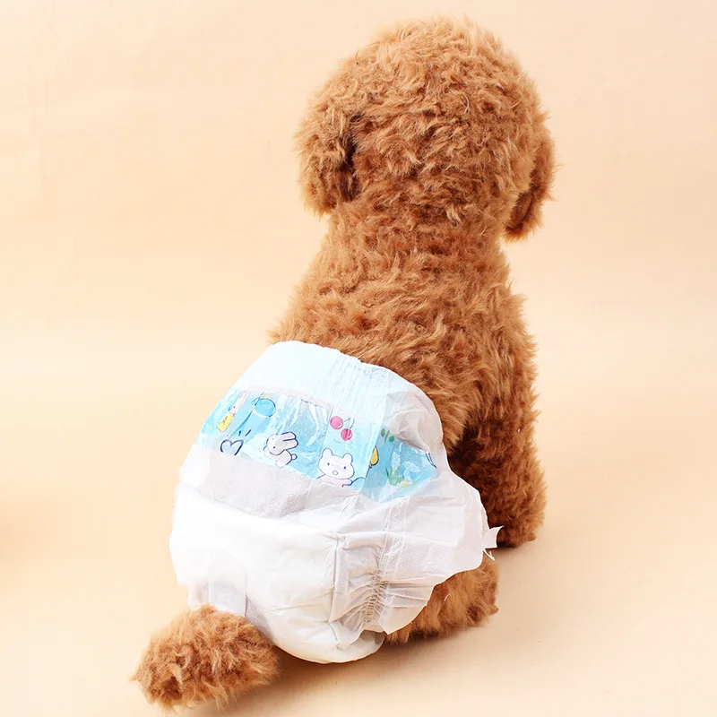10 قطع المتاح pet القط الكلب ورقة حفاضات كلب جرو الصحية الفسيولوجية السراويل الصحية الإناث سراويل قصيرة لكلب XS-L