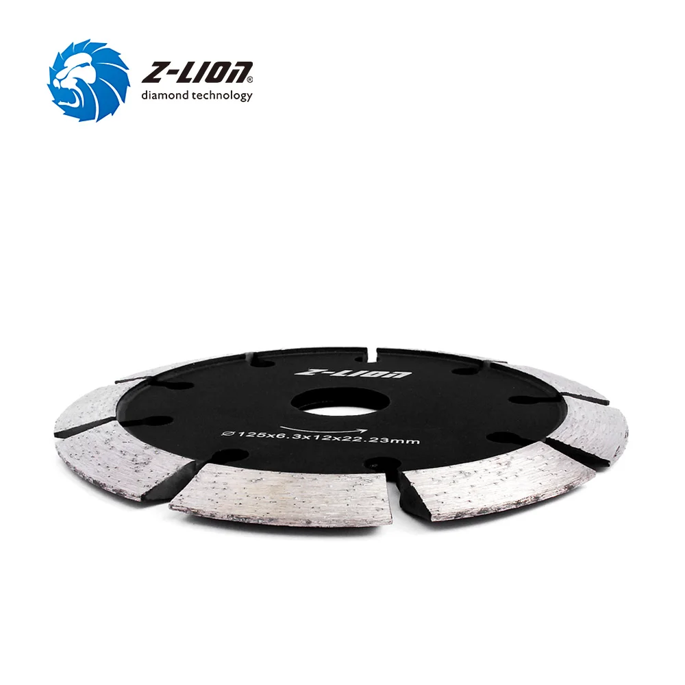 Z-LION 5