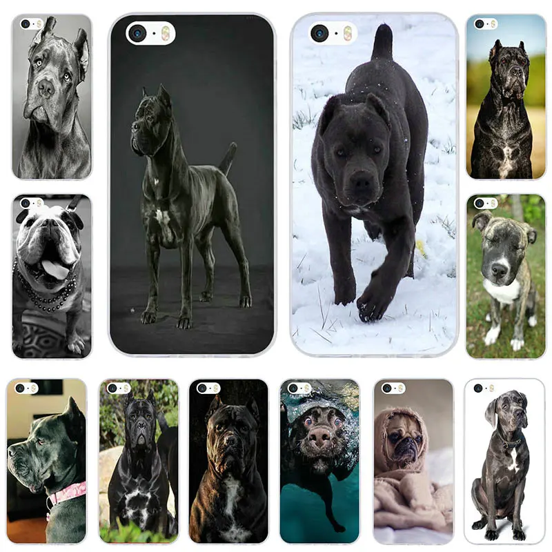 Us 199 Pug Puppy Dog Cane Corso Italiano Soft Silicone Mobile Phone Cases For Iphone 7 6 6s 8 Plus 5 5s 5c Se X 4 4s Coque Fundas Shell In
