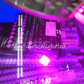 

Hybrid 20W 30W 50W High power LED Plant Grow Lamp Light Deep Red & Rolay Blue 4:1 (660nm &460nm) DC 25-27V For DIY