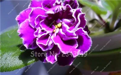 7F1CC4C1A6F5D20F5FE52CA7E1C6C936