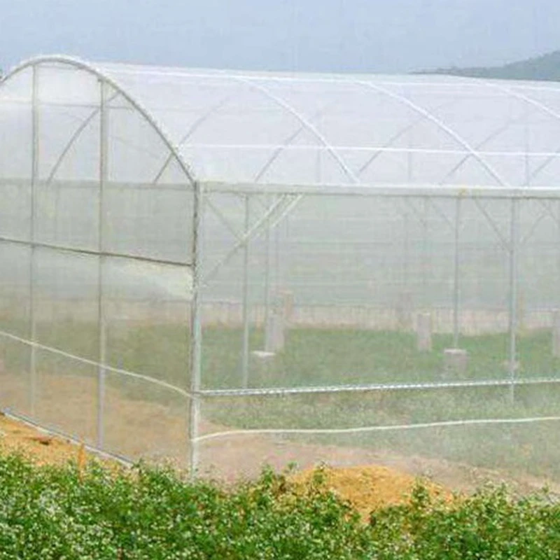 10536647162_1804651056 - 