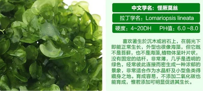 HTB1ejPmajnuK1RkSmFPq6AuzFXaY