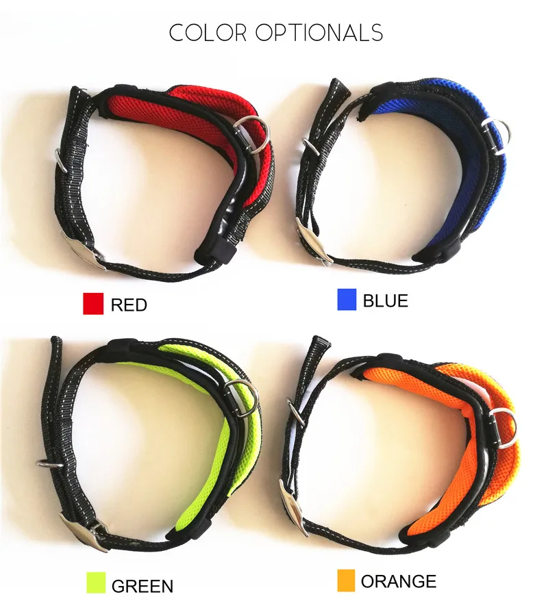 Dog Collar and Leash Set (25)
