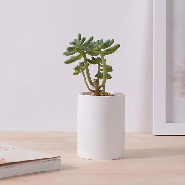 Creative Simple White Small Succulent Pot Ceramic Desktop Creative Simple White Small Succulent Pot Ceramic Desktop Cylindrical Z Decorative Flower Indoor Bonsai