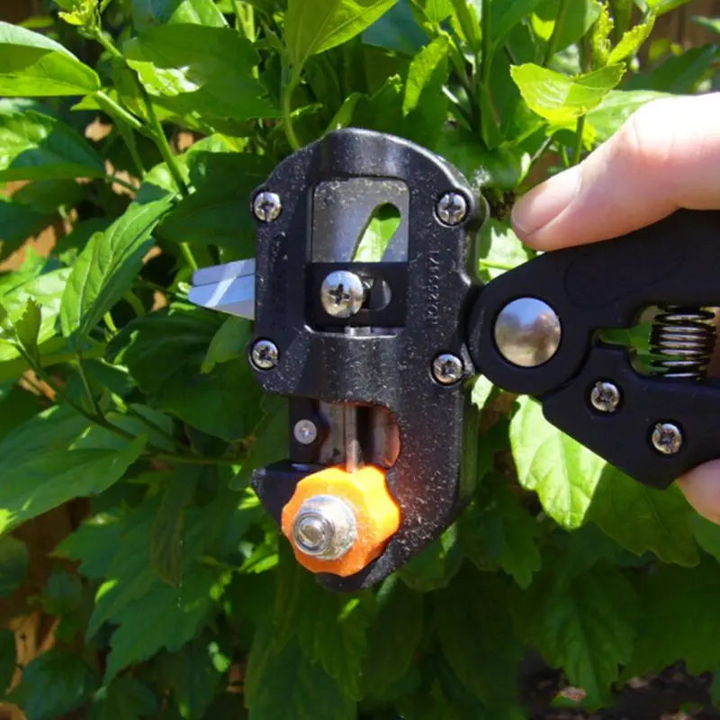 

Gardening Grafting Scissors Fruit Tree Pruning Pruner Shears Cutting Tools Nursery Garden Plants Vaccination Farming Tool