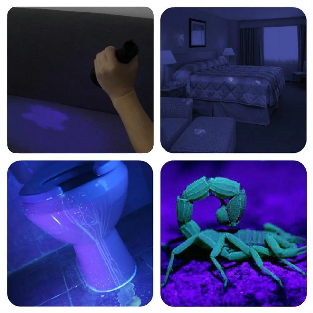 21led uv blacklight flashlight (9)