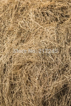 

Art Fabric Photography Backdrop haystack Custom Photo Prop backgrounds 5ftX7ft D-1853