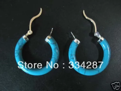

Brand New Turquoise Silver Dangle Earrings Pair