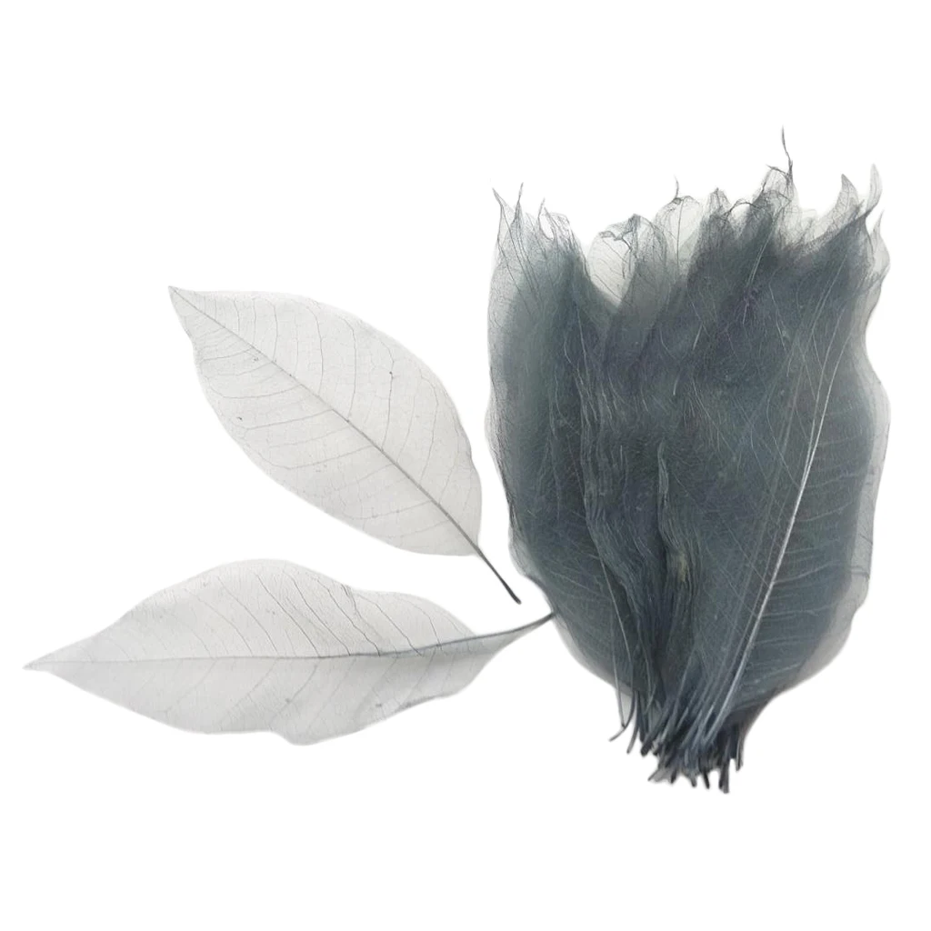 100 Pieces Magnolia Skeleton Leaf Leaves for Wedding Invitations Card Making Christmas Party Gift Wrapping Decoration