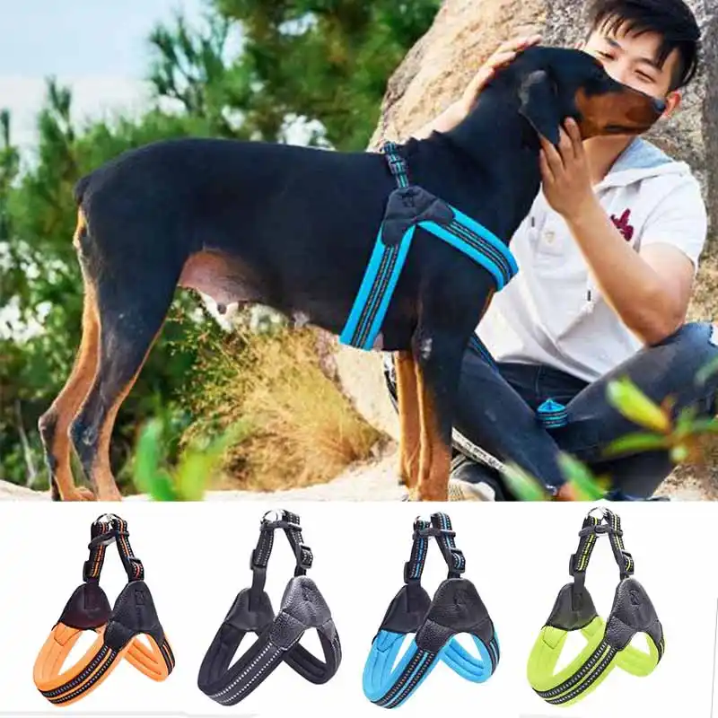 Cushioned dog harness Clearance