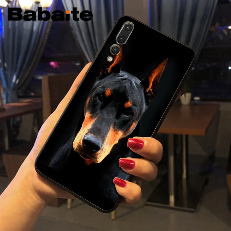 black Dachshund Doberman Dog face