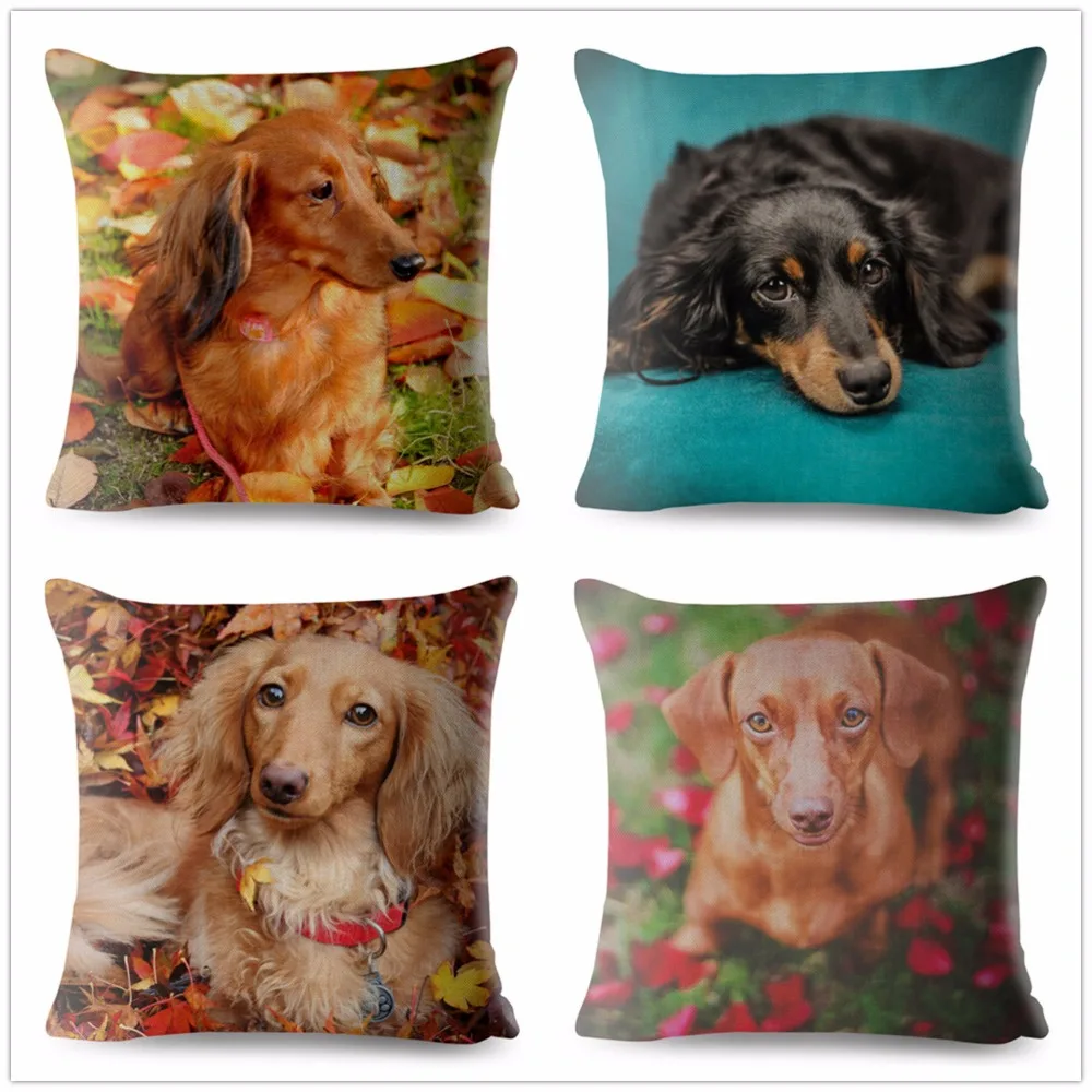 HOUSSE DE COUSSIN Taie D'Oreiller Carrée Housse De Coussin + Coussin