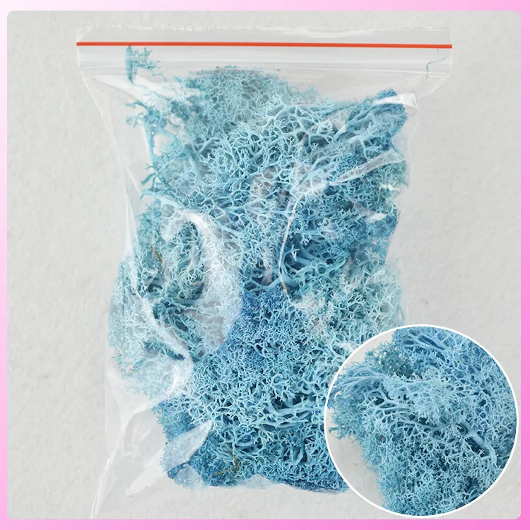 Immortal moss diy flower accessories (2)