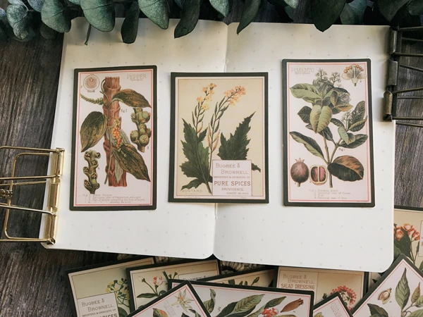VYUTXA 12 шт. винтажные растения английская иллюстрация бумажные наклейки Скрапбукинг/изготовление открыток/Журнал проект DIY