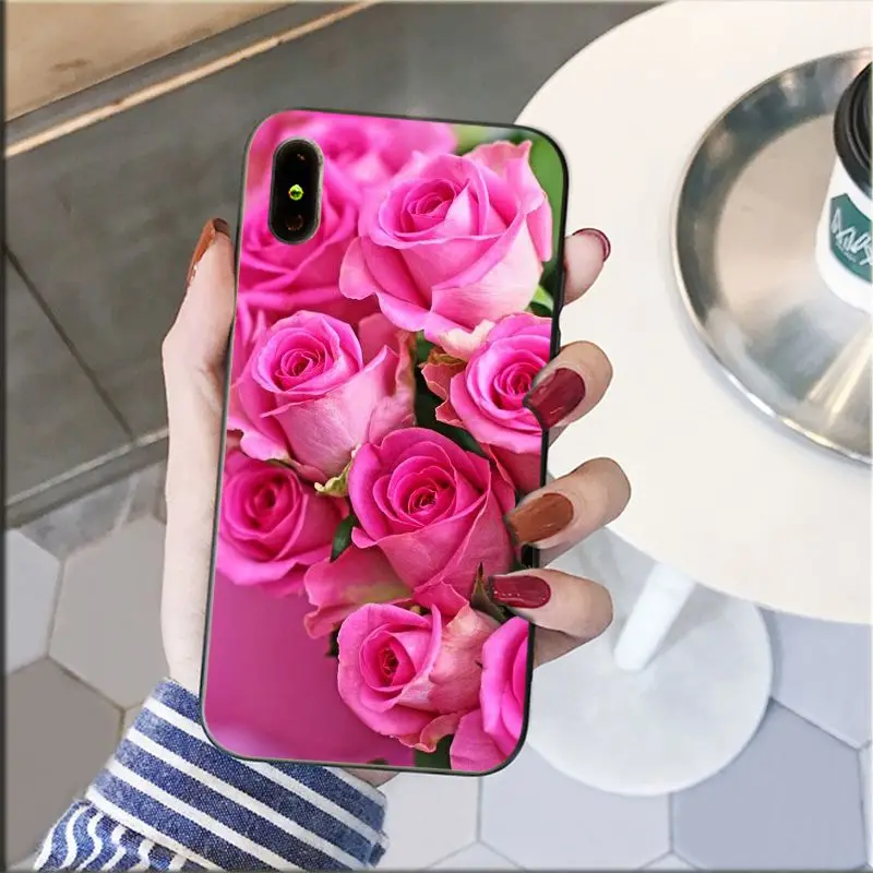 Red Pink Rose