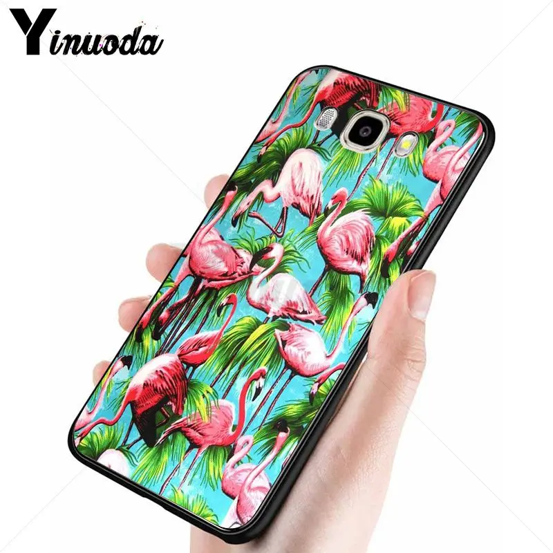 red summer animal flamingo