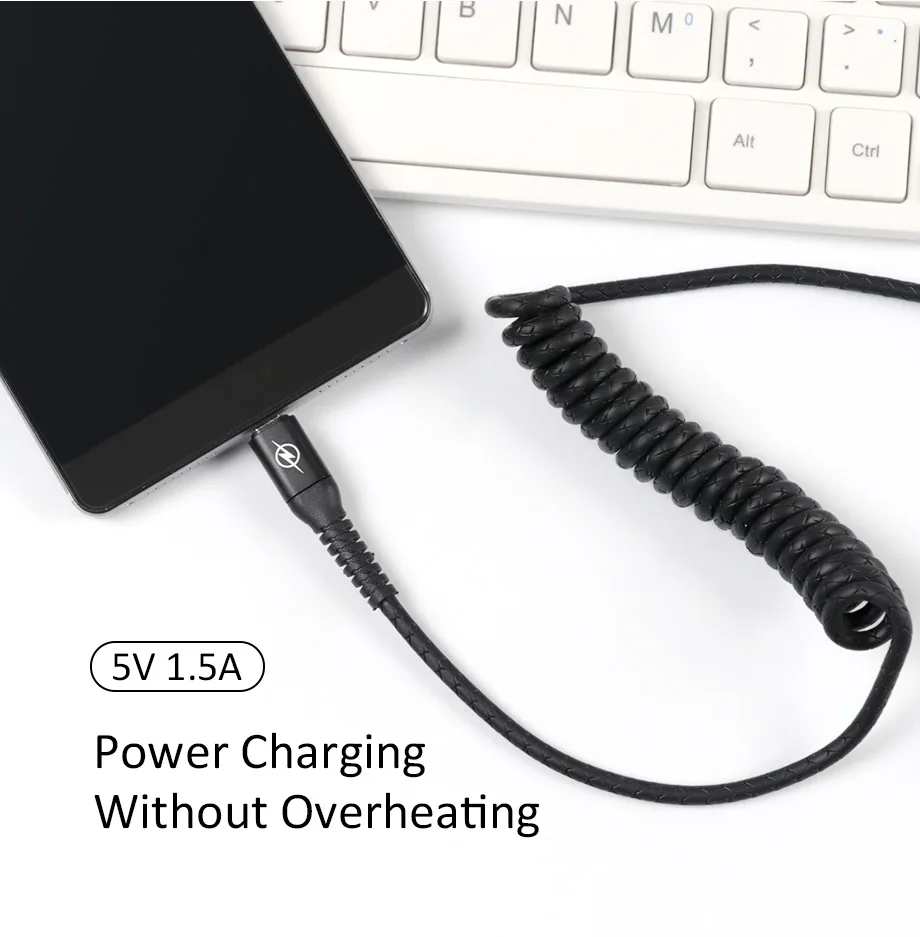 Cable Micro USB (2)