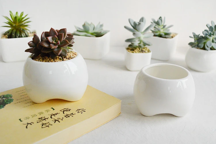 TB27Y6NdXXXXXXgXXXXXXXXXXXX_!!1878166685